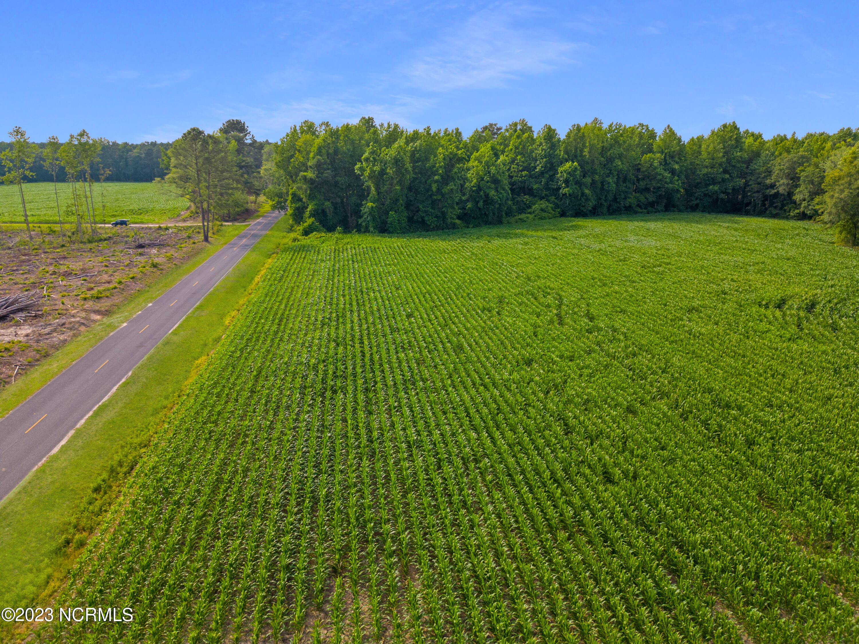 O Lesane Road Tar Heel, NC 28392 - Photo 21 of 23 17