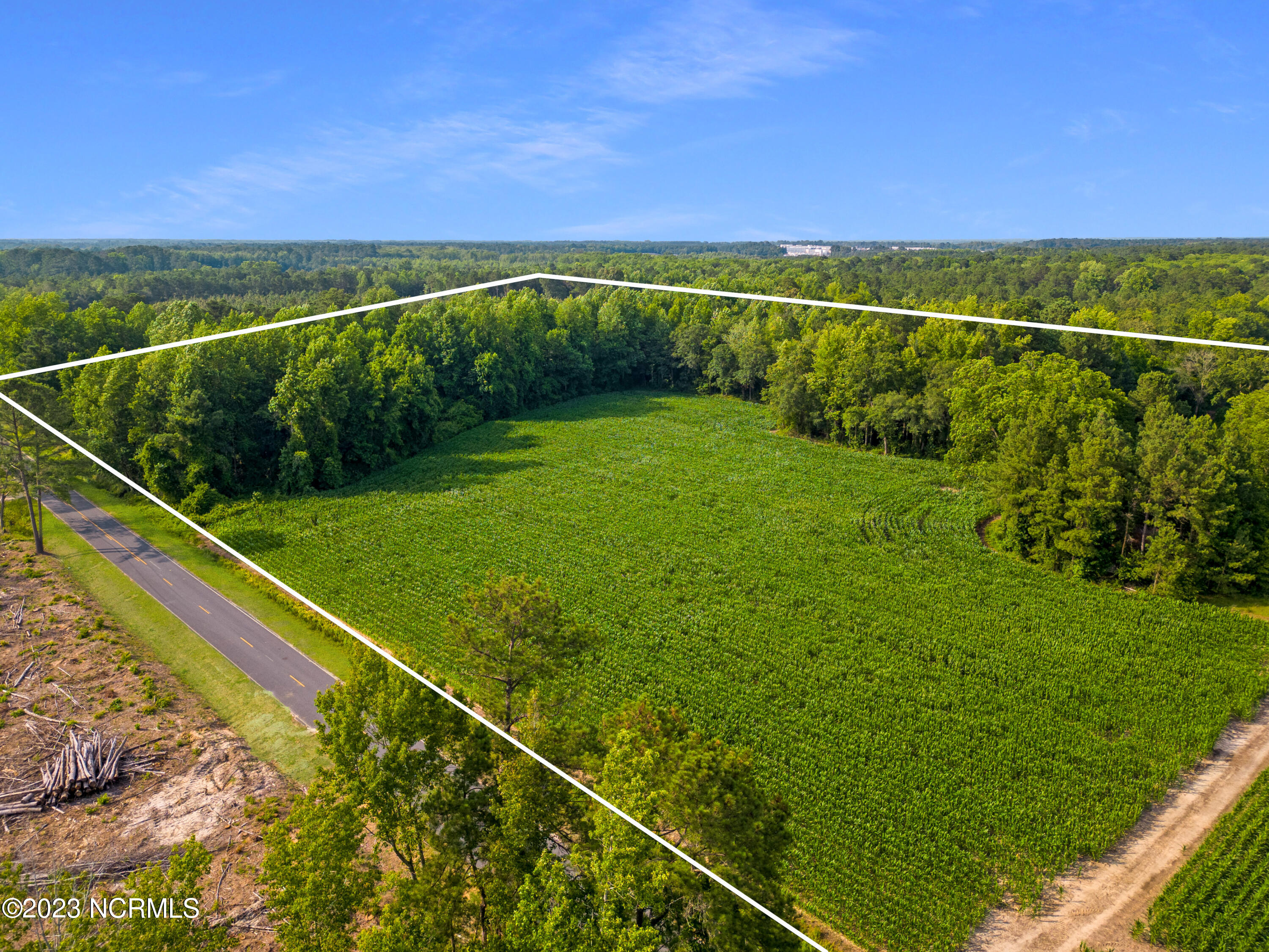 O Lesane Road Tar Heel, NC 28392 - Photo 4 of 23 4