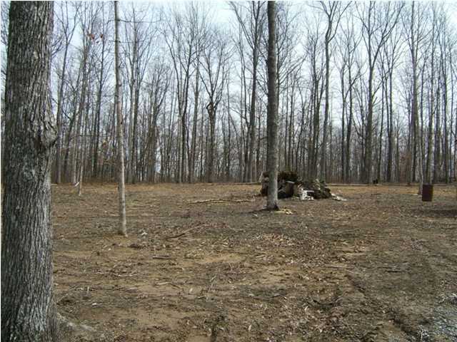 147 Knight Road Dunlap, TN 37327 - Photo 2 of 3 Additional Photo