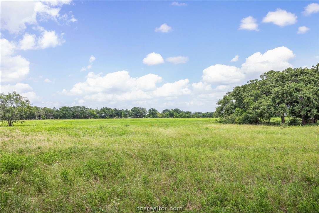 11504 North Dowling Road College Station, TX 77845 - Photo 5 of 22
