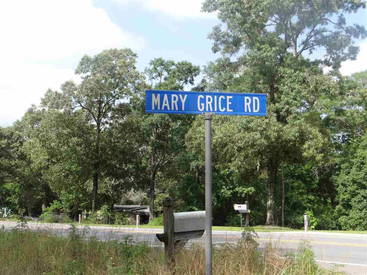 39800 Mary Grice Road Bay Minette, AL 36507 - Photo 3 of 6