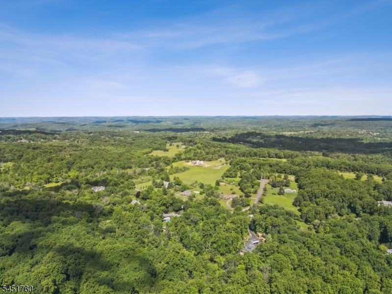 160 Jockey Hollow Road Bernardsville, NJ 07924 - Photo 3 of 3 Gallery Image 3