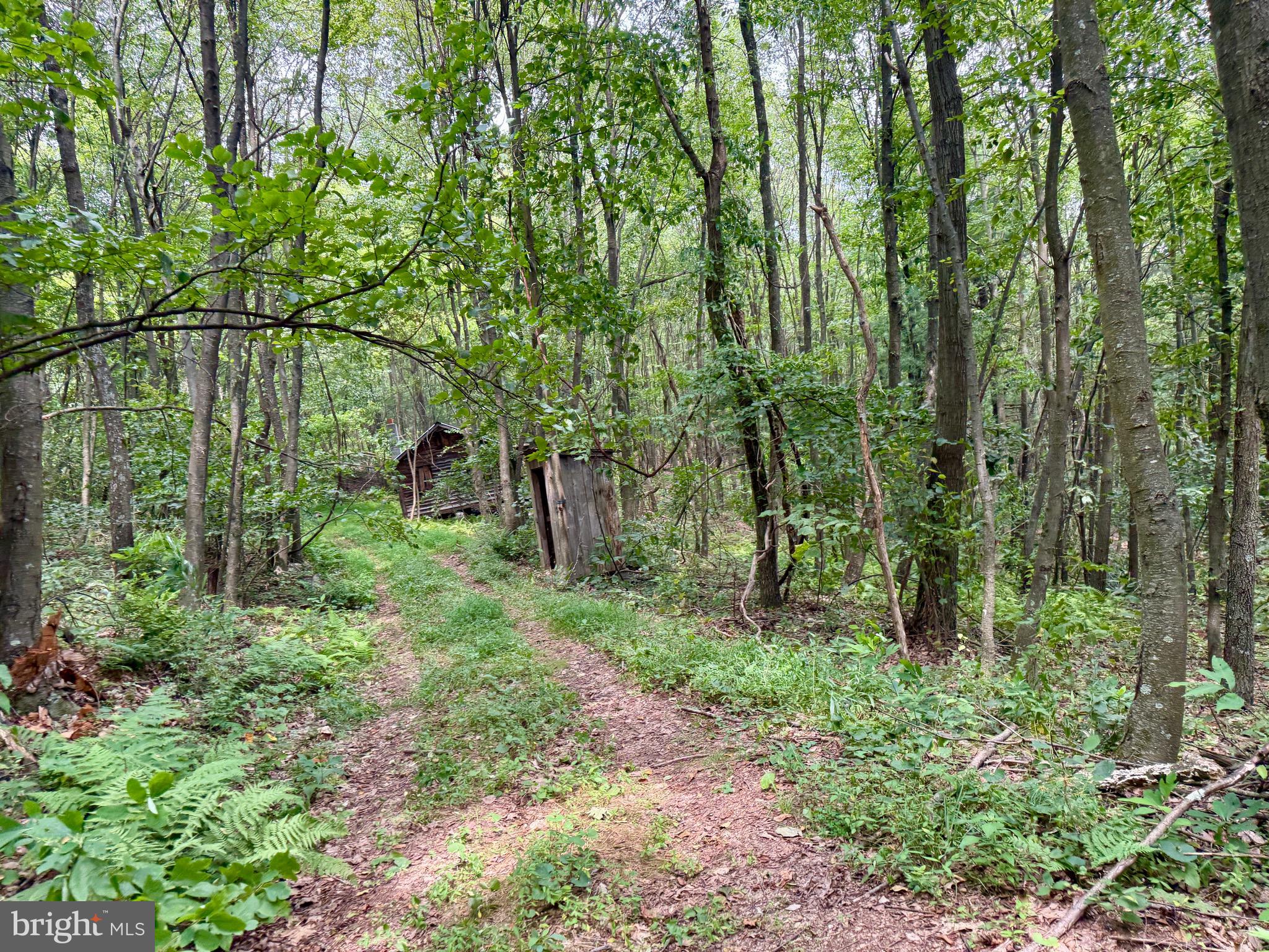 Mountain Road James Creek, PA 16657 - Photo 13 of 28
