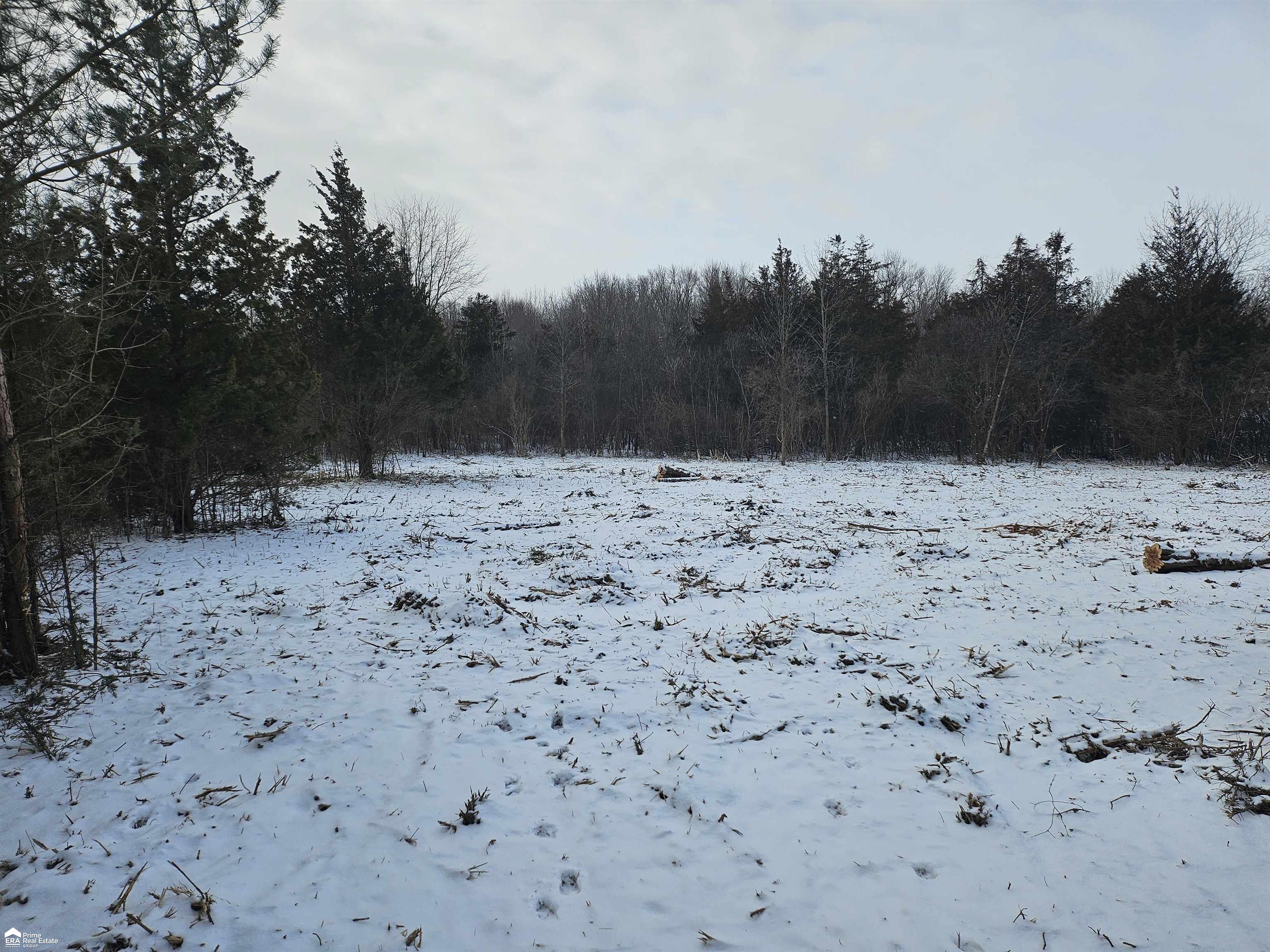 5455 Kelly Road Flint, MI 48504 - Photo 5 of 5 Gallery Image 5
