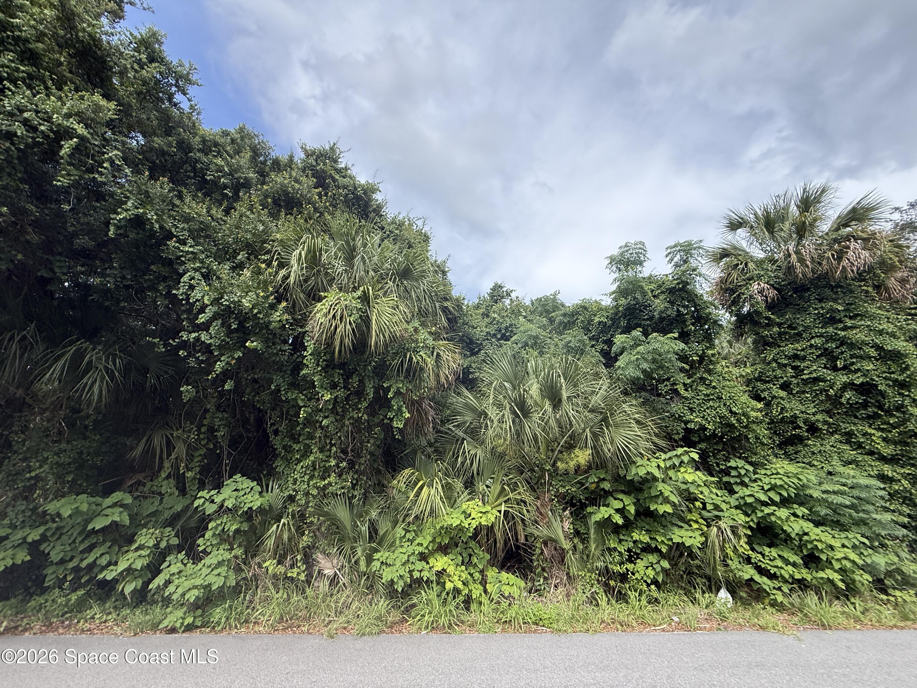 0 Travis Street Mims, FL 32754 - Photo 12 of 12 IMG_9625