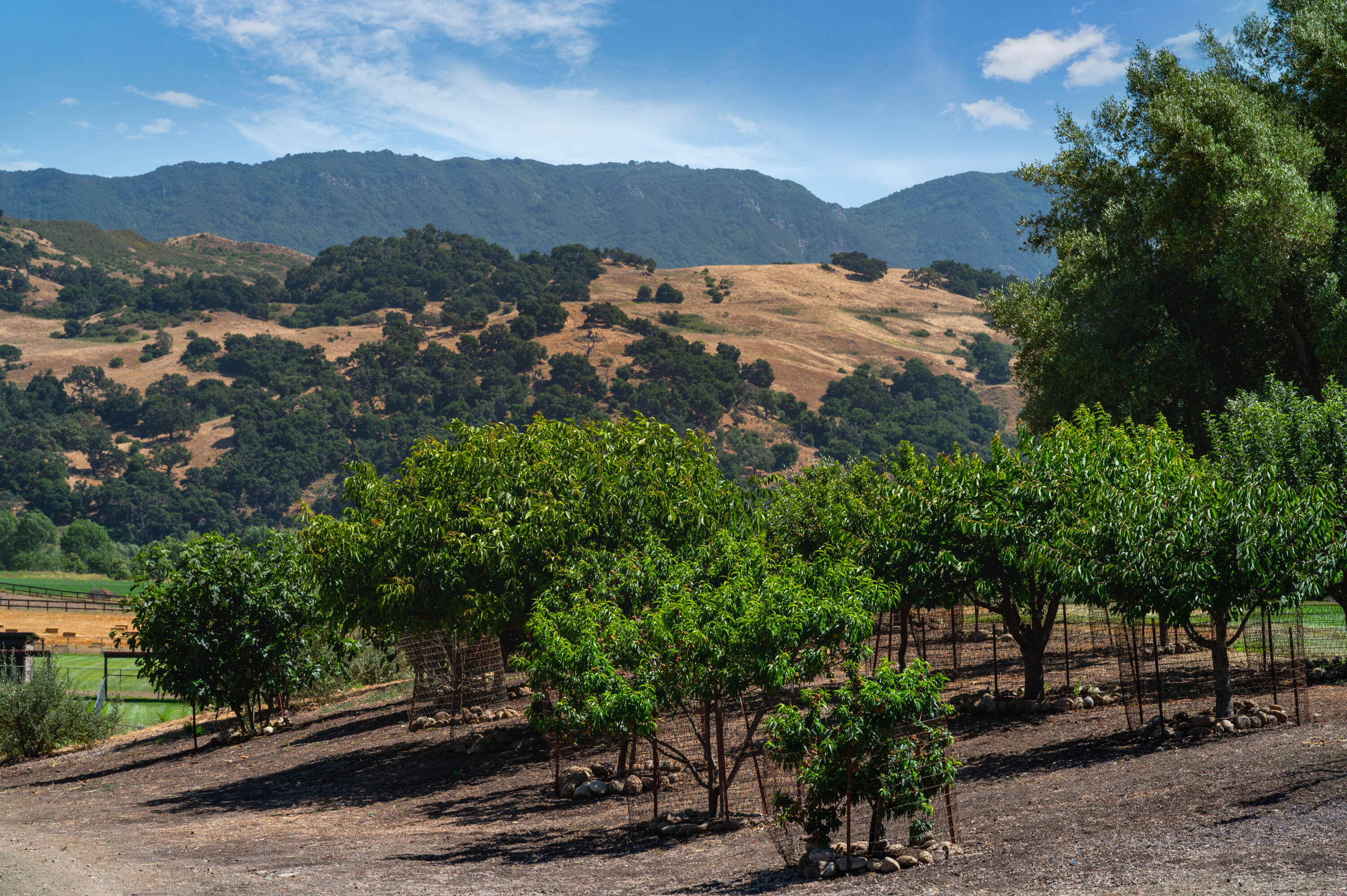 560 Ranch Road Solvang, CA 93463 - Photo 79 of 79 560_ranch_road_solvang_ca_ext-20