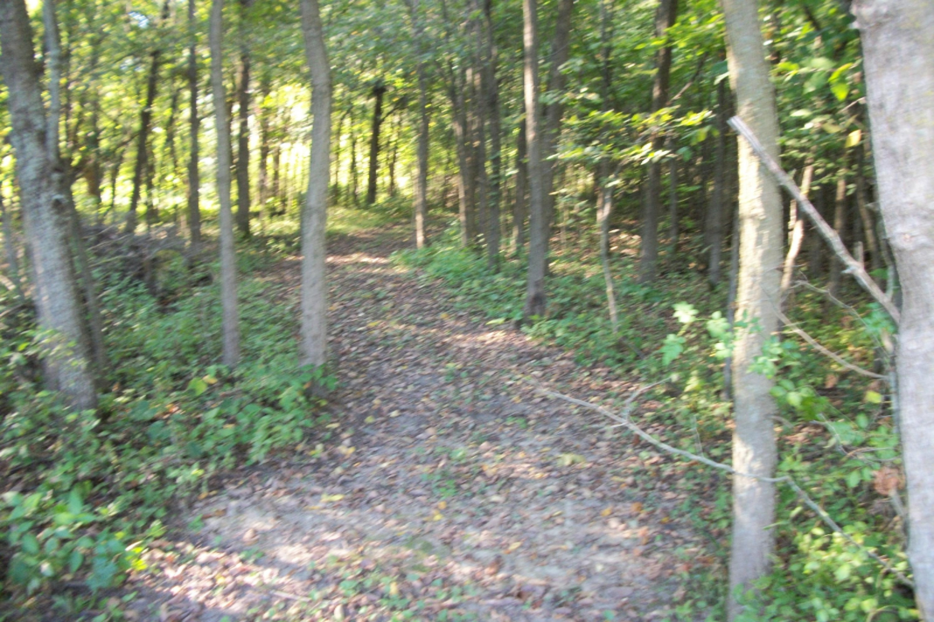15250 Frontier Road Camden, MI 49232 - Photo 13 of 18 100_1551