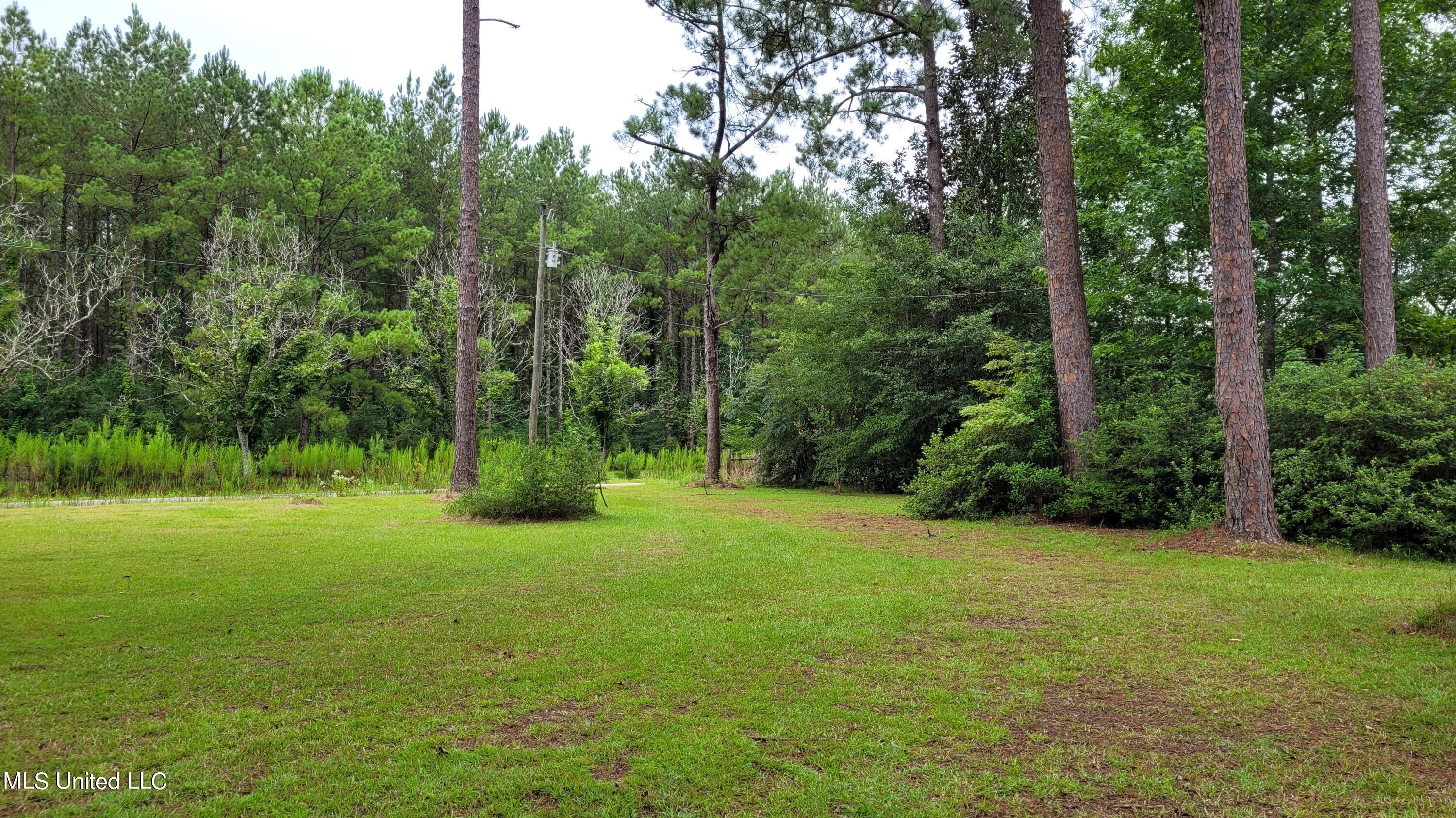 175 Beasley Alexander Road Poplarville, MS 39470 - Photo 24 of 25 20220729_123106