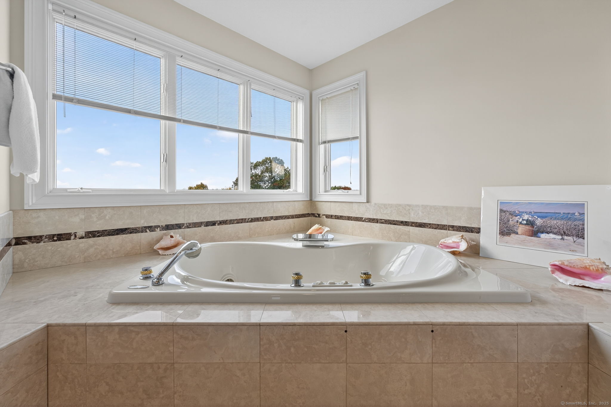 87 Colton Road Glastonbury, CT 06033 - Photo 23 of 39 a close view of sink and tap