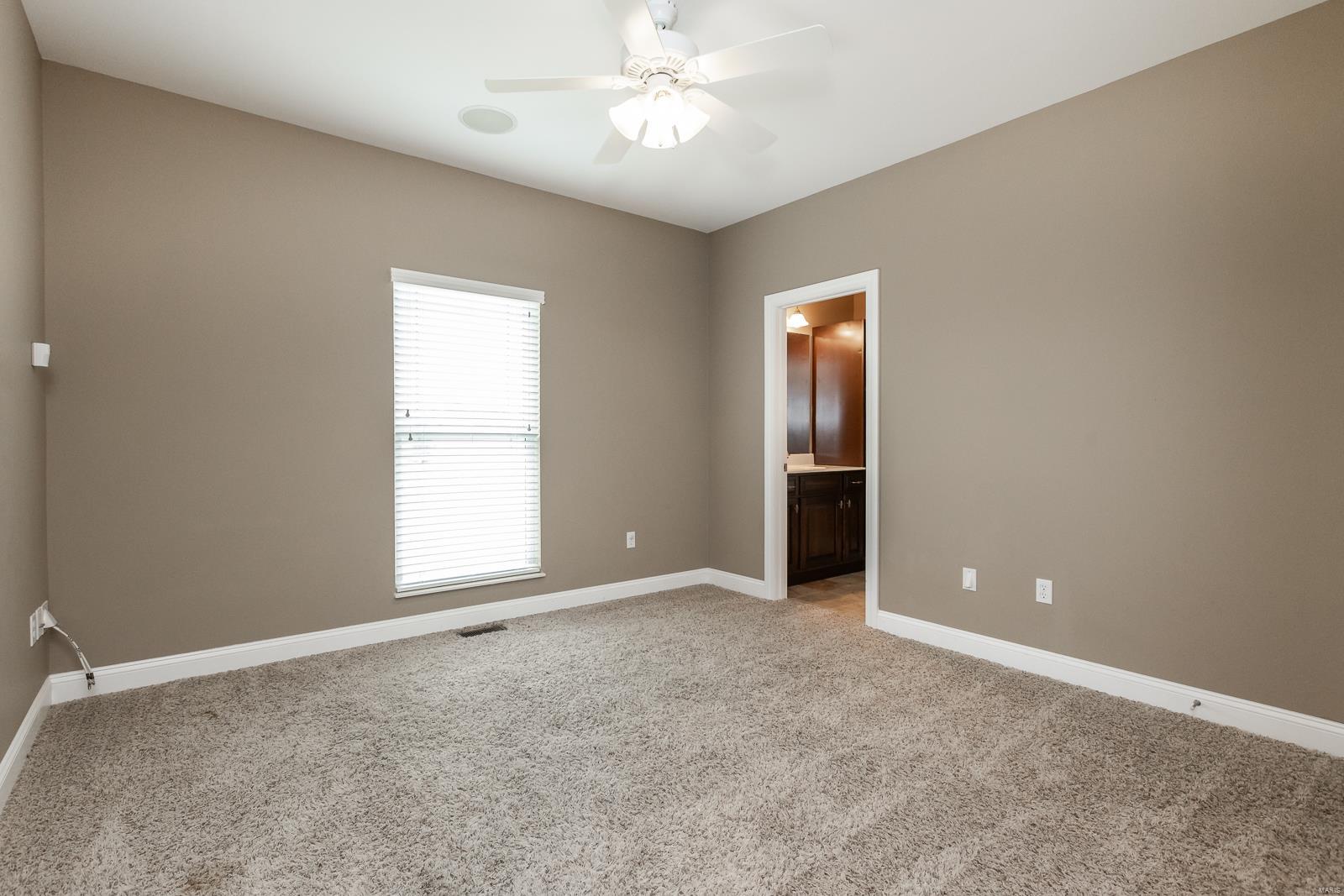 7786 County Line Road Collinsville, IL 62234 - Photo 53 of 89