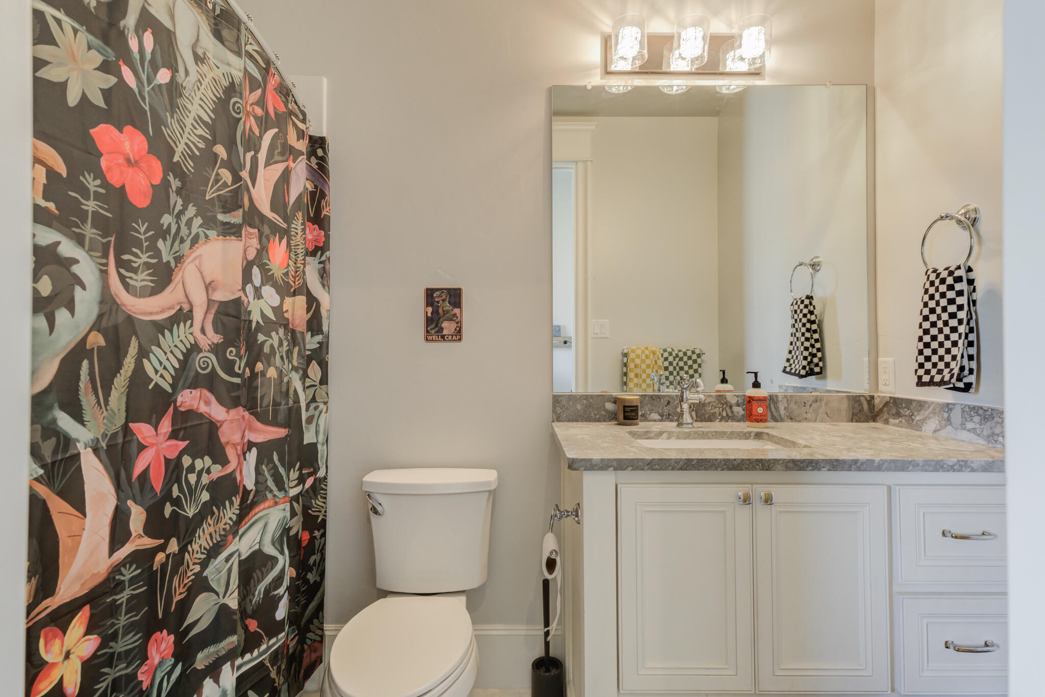8917 County Road 6870 Lubbock, TX 79407 - Photo 34 of 53 a bathroom with a sink mirror vanity and toilet