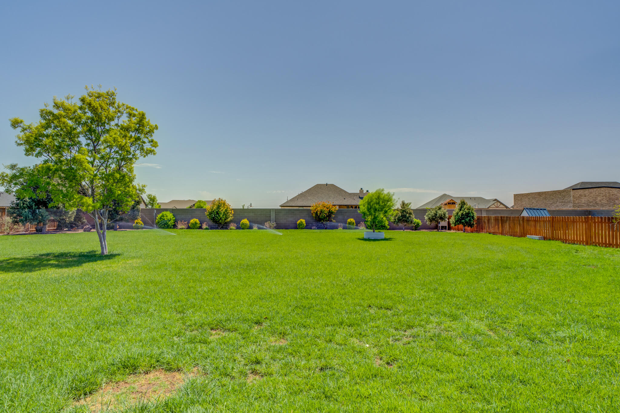 8917 County Road 6870 Lubbock, TX 79407 - Photo 42 of 53 a view of green field of grass and trees