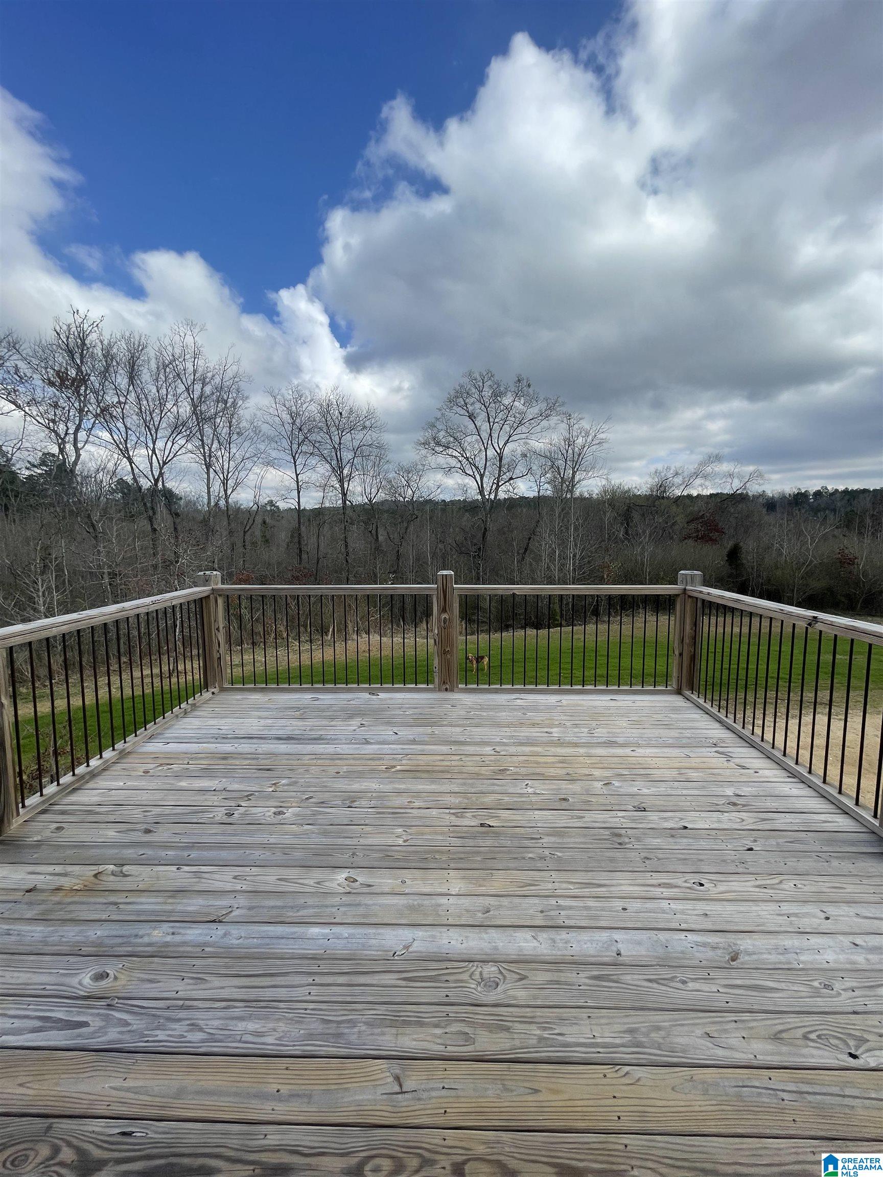 245 Old Eason Road Pell City, AL 35128 - Photo 15 of 22