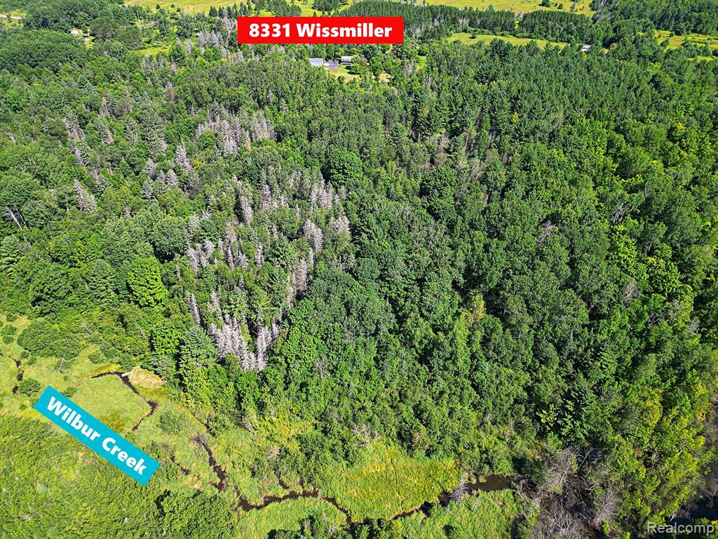 8331 Wissmiller Road South Branch, MI 48761 - Photo 33 of 59 Gallery Image 33