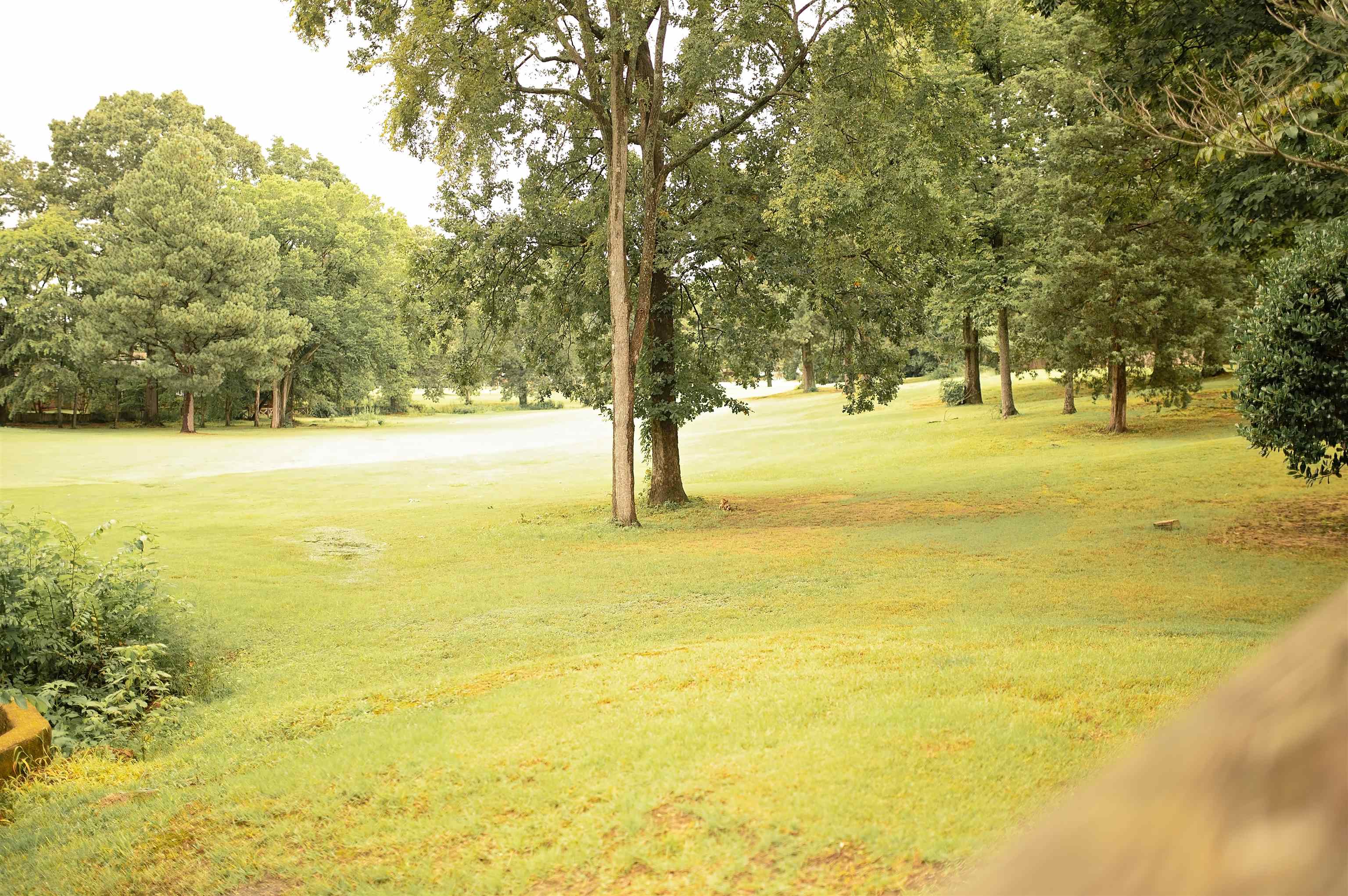 3102 Rising Sun Road, Unit 59 Lakeland, TN 38002 - Photo 11 of 27 a view of an ocean