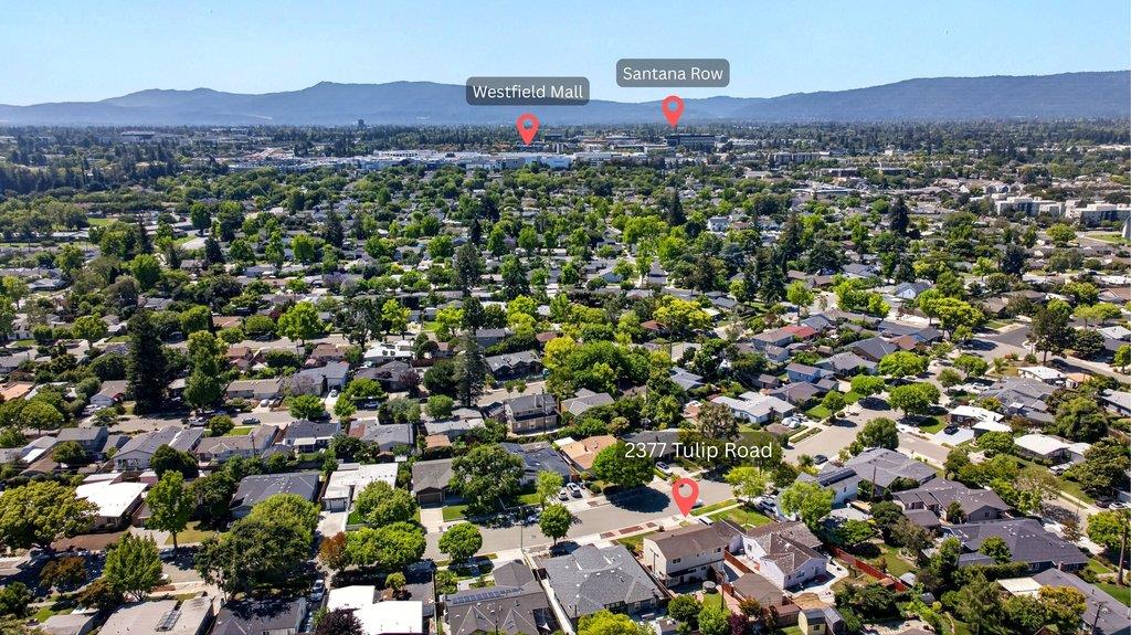 2377 Tulip Road San Jose, CA 95128 - Photo 54 of 62