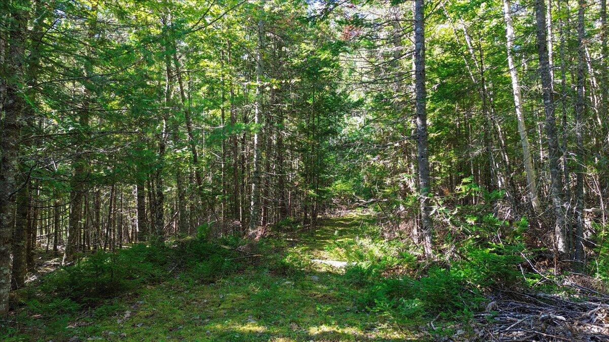 0 Dragonfly Drive Holden, ME 04429 - Photo 24 of 30 Trails