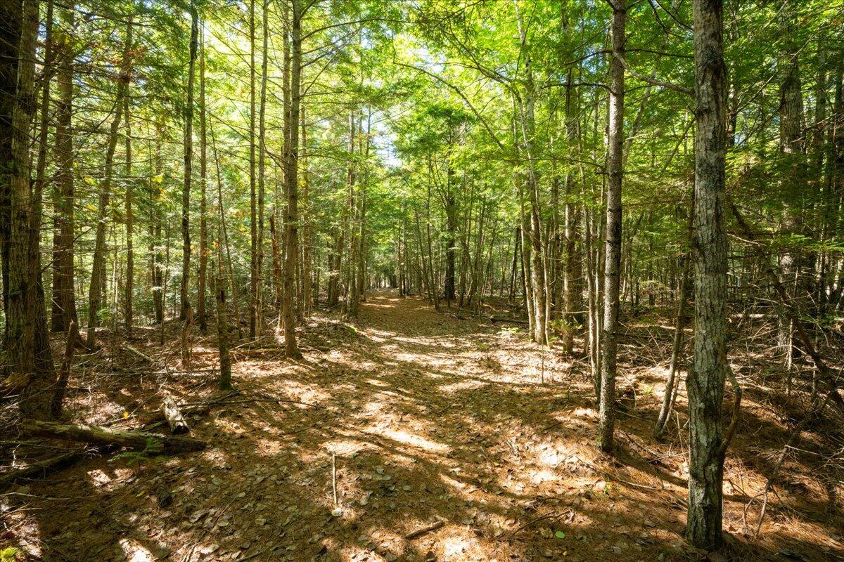 0 Dragonfly Drive Holden, ME 04429 - Photo 26 of 30 Trails