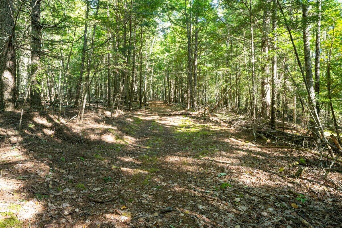 0 Dragonfly Drive Holden, ME 04429 - Photo 28 of 30 Trails