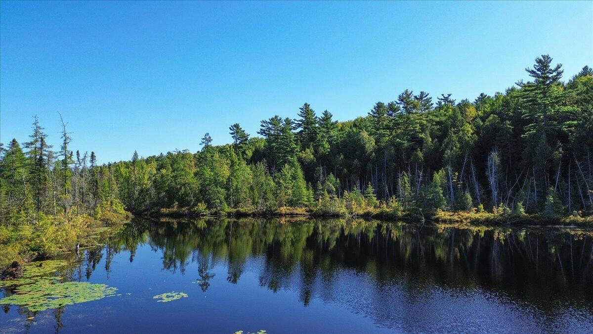 0 Dragonfly Drive Holden, ME 04429 - Photo 3 of 30 Pond