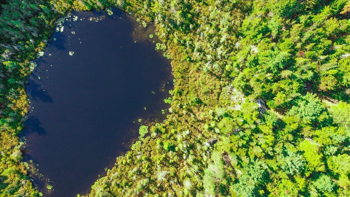 0 Dragonfly Drive Holden, ME 04429 - Photo 9 of 30 Aerial View