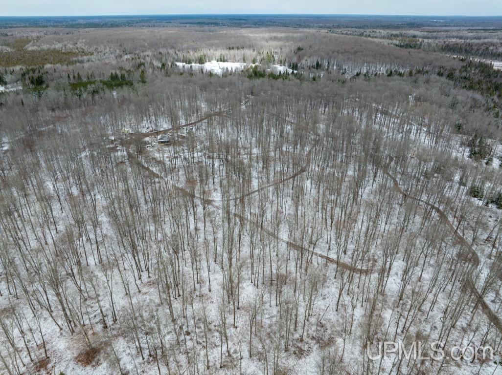 1749 West Edge Road Germfask, MI 49836 - Photo 47 of 55 Gallery Image 47