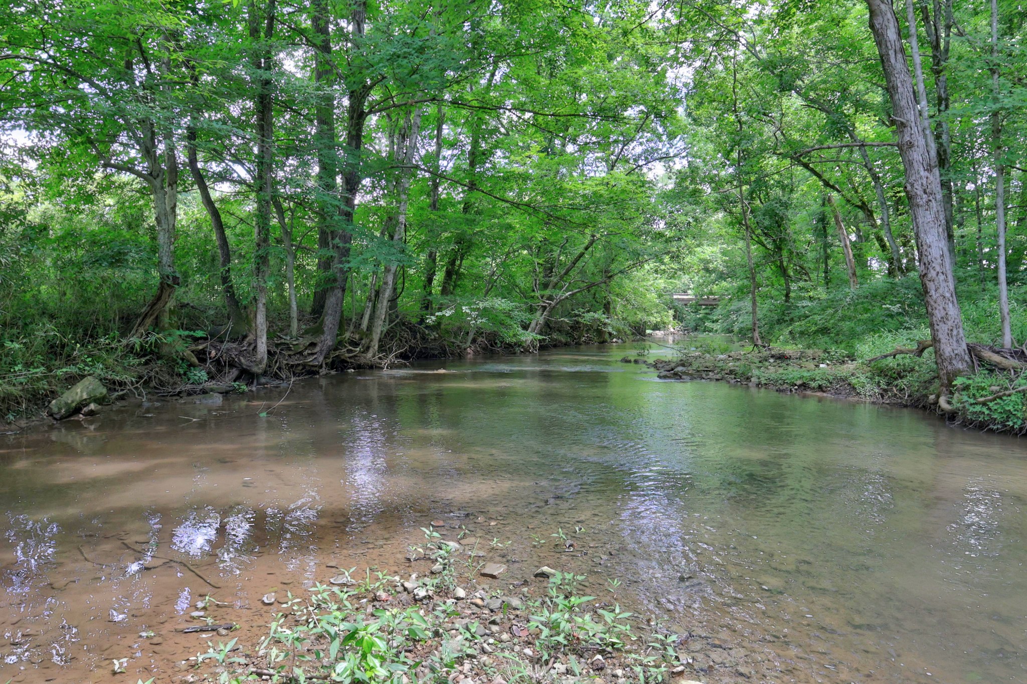 1213 Rock Church Road Dickson, TN 37055 - Photo 66 of 72