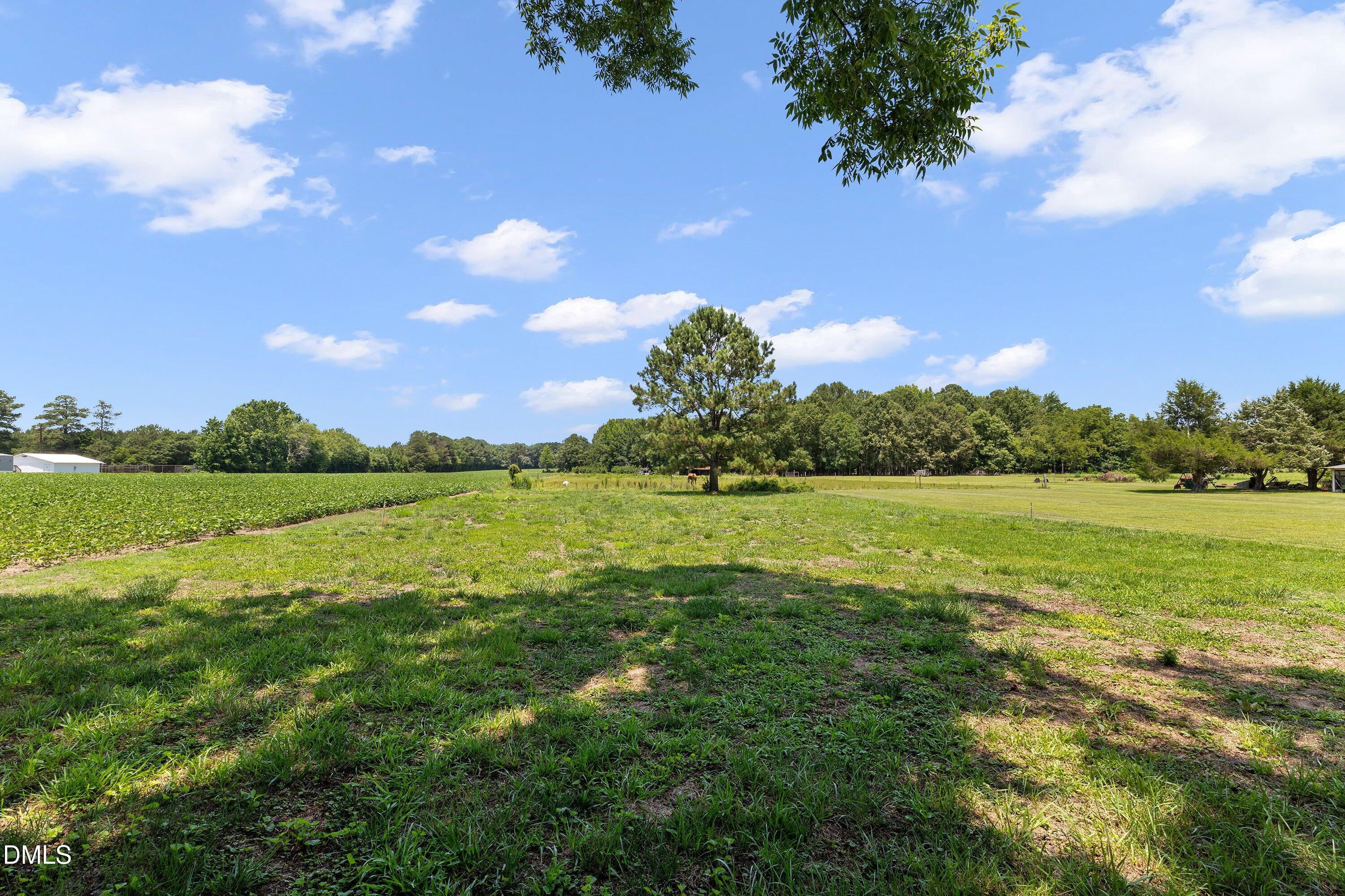 1555 Beulahtown Road Kenly, NC 27542 - Photo 26 of 35 27-1555 Beulahtown Rd_0173