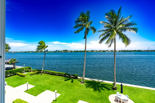 a garden with tall trees