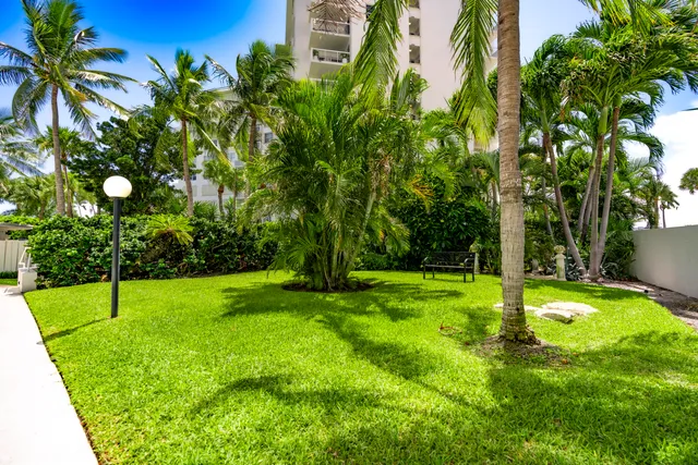 a view of a big yard and front of palm trees