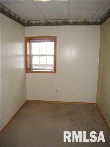 319 Main Street Bennett, IA 52721 - Photo 17 of 24 Gallery Image 17