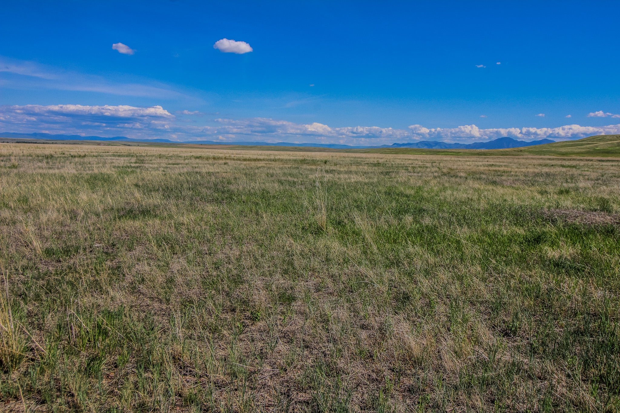 31 Old Ulm Cascade Road Cascade, MT 59421 - Photo 2 of 7 Gallery Image 2