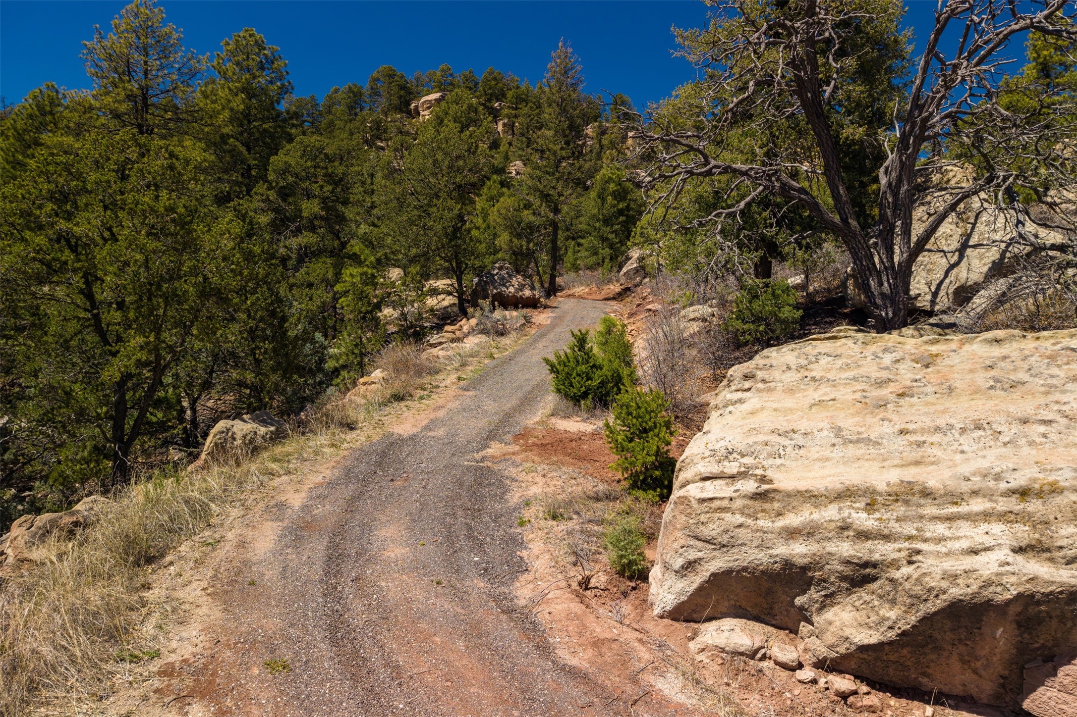 30 Monte La Cueva Road Glorieta, NM 87535 - Photo 18 of 91