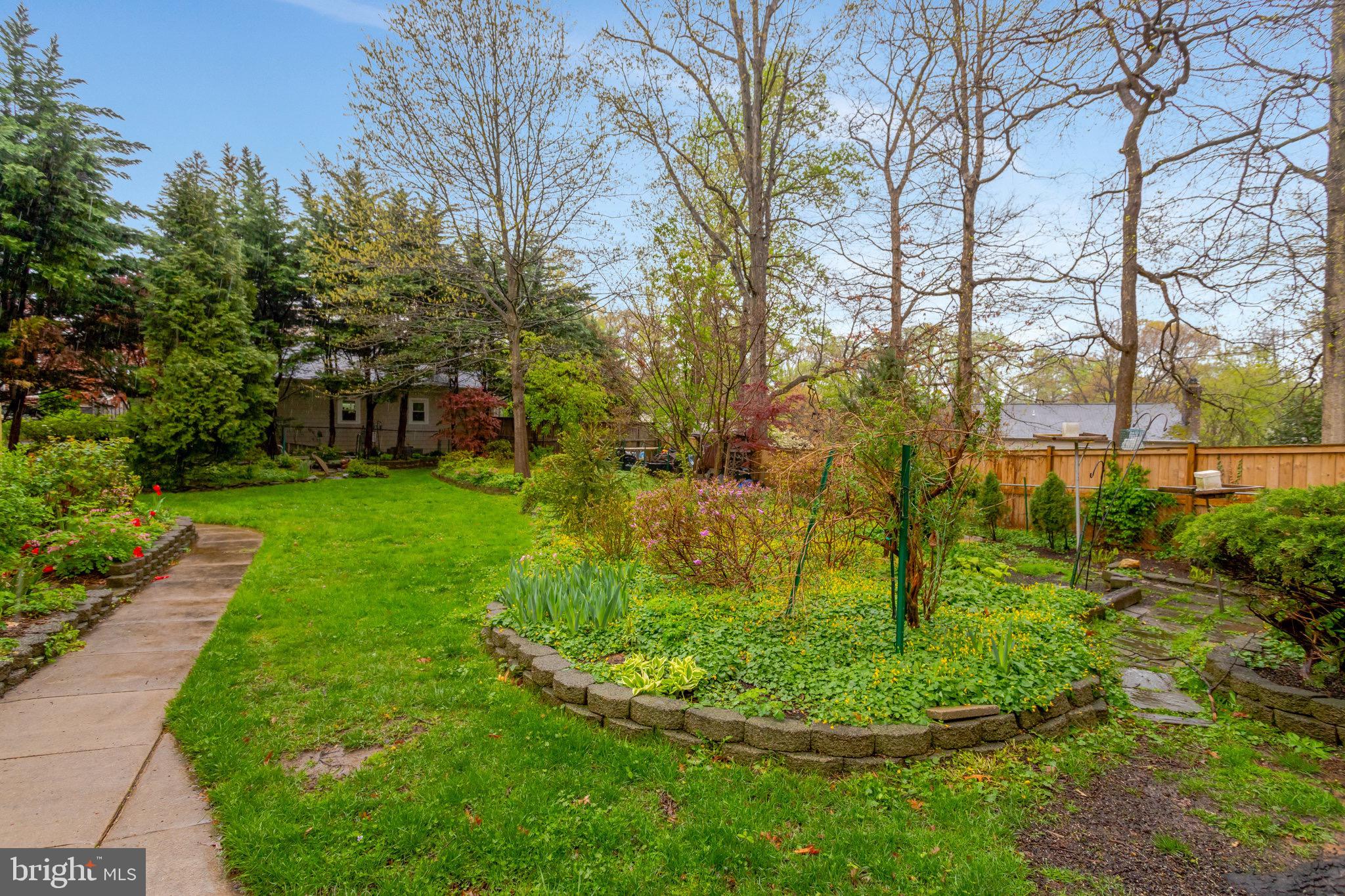 3619 Hummer Road Annandale, VA 22003 - Photo 9 of 13 Backyard