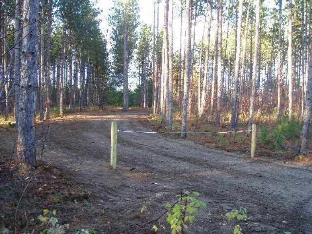 Harlan Road, Unit B Copemish, MI 49625 - Photo 1 of 6 B-1