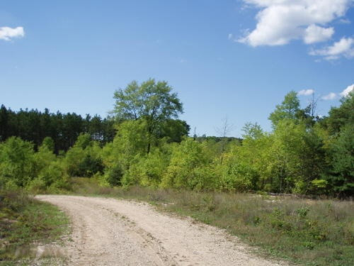 Harlan Road, Unit B Copemish, MI 49625 - Photo 6 of 6 B-6