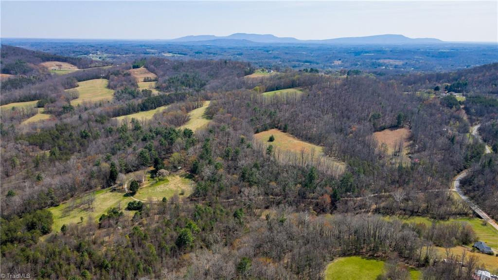 1305 Brim Road Mount Airy, NC 27030 - Photo 33 of 47 Gallery Image 33