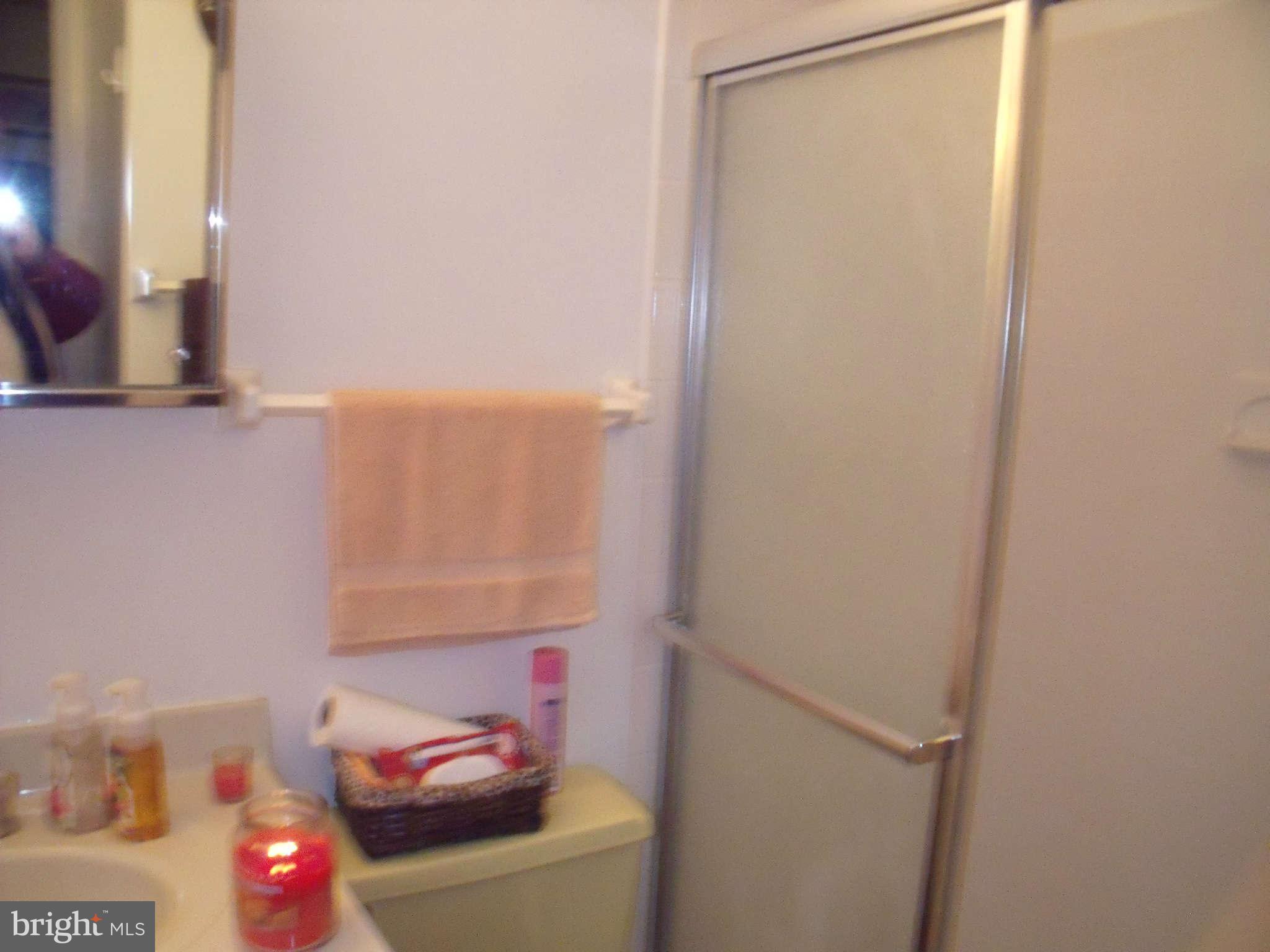 6519 Rivington Road Springfield, VA 22152 - Photo 15 of 22 Bath (Master)