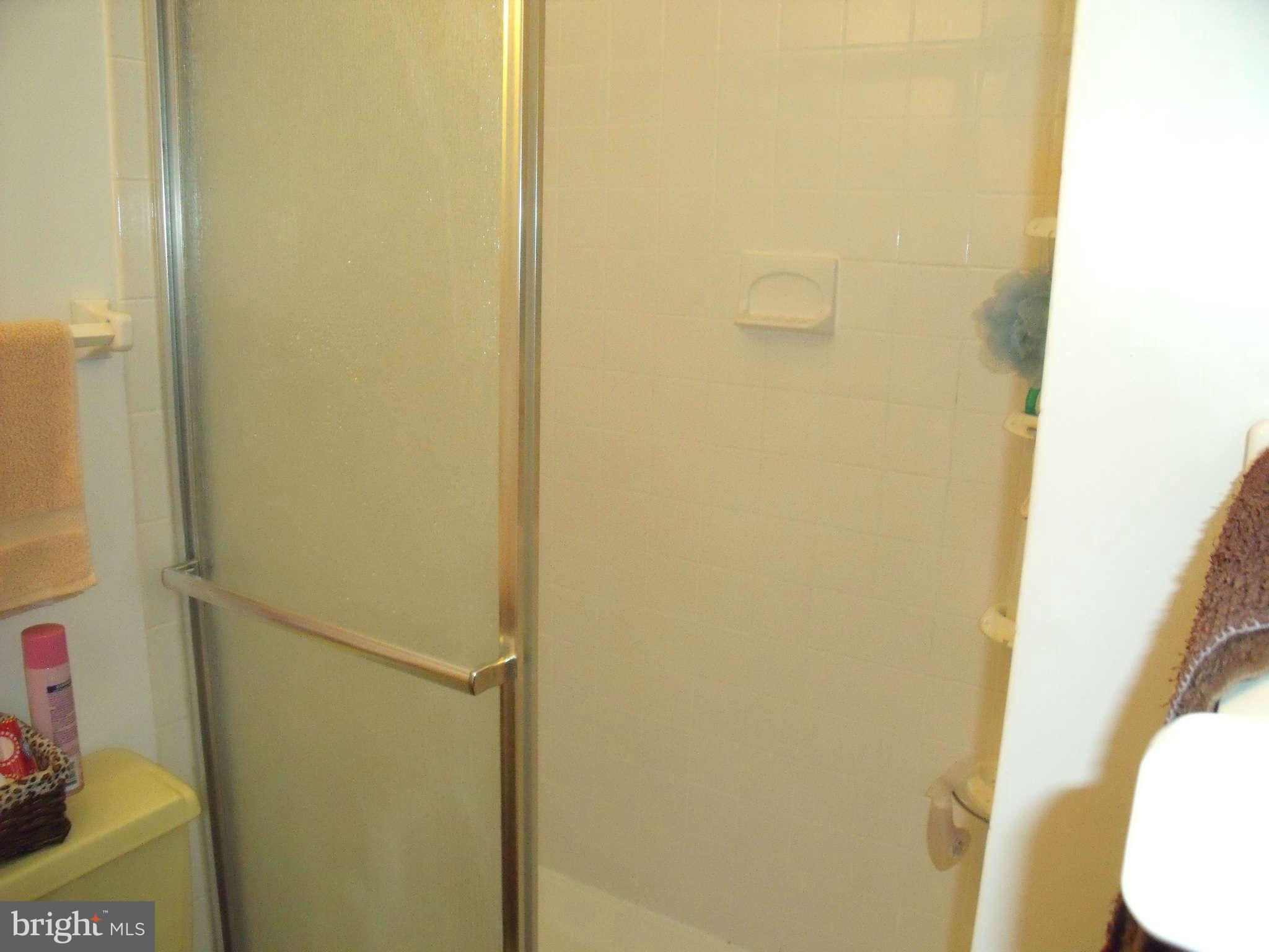 6519 Rivington Road Springfield, VA 22152 - Photo 16 of 22 Bath (Master)