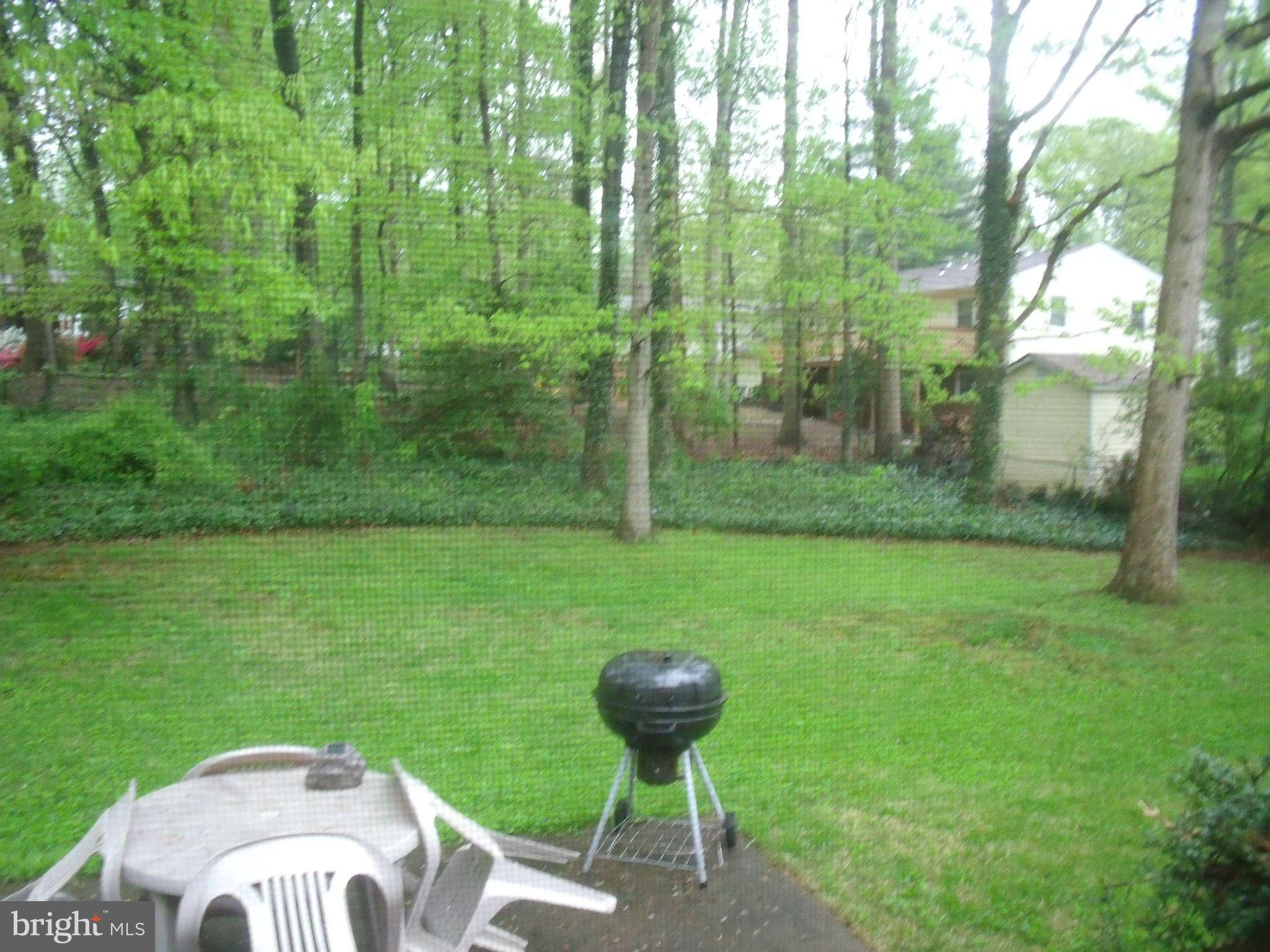 6519 Rivington Road Springfield, VA 22152 - Photo 20 of 22 Exterior (Rear)