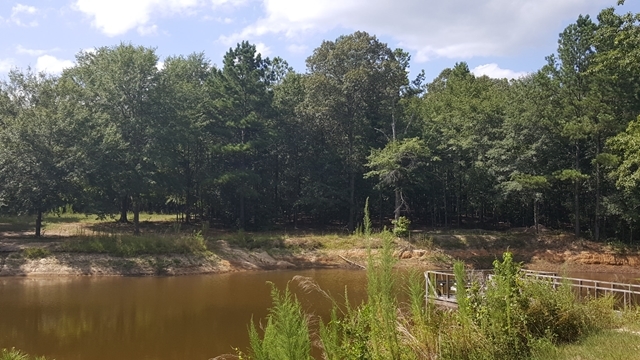 134 Kent Road Macon, GA 31211 - Photo 17 of 22 Additional Photo