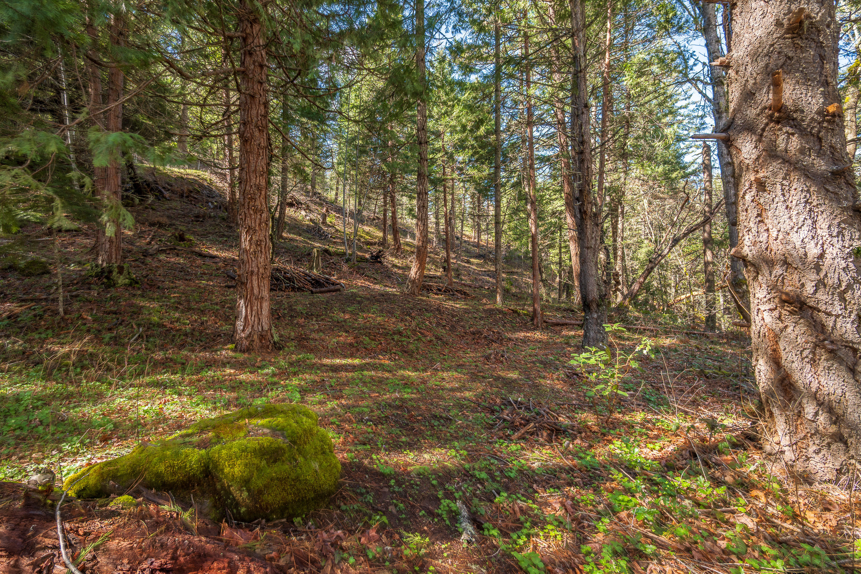 2829 Buckhorn Springs Road Ashland, OR 97520 - Photo 13 of 44 012