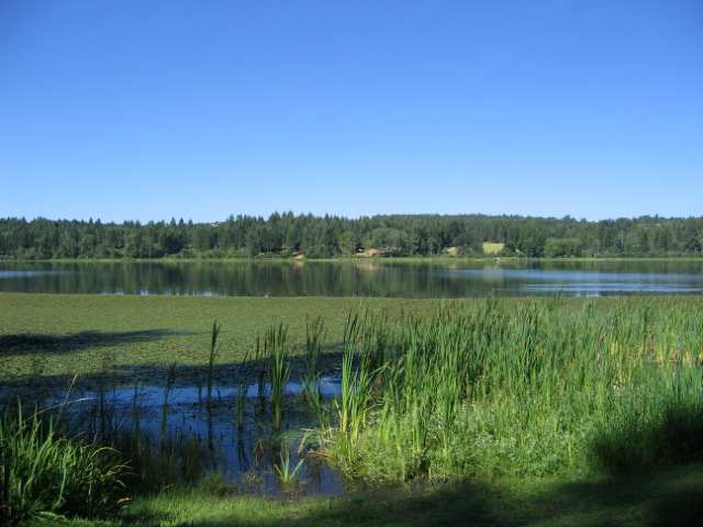 40905 North Lake Shore Road Elk, WA 99009 - Photo 3 of 6