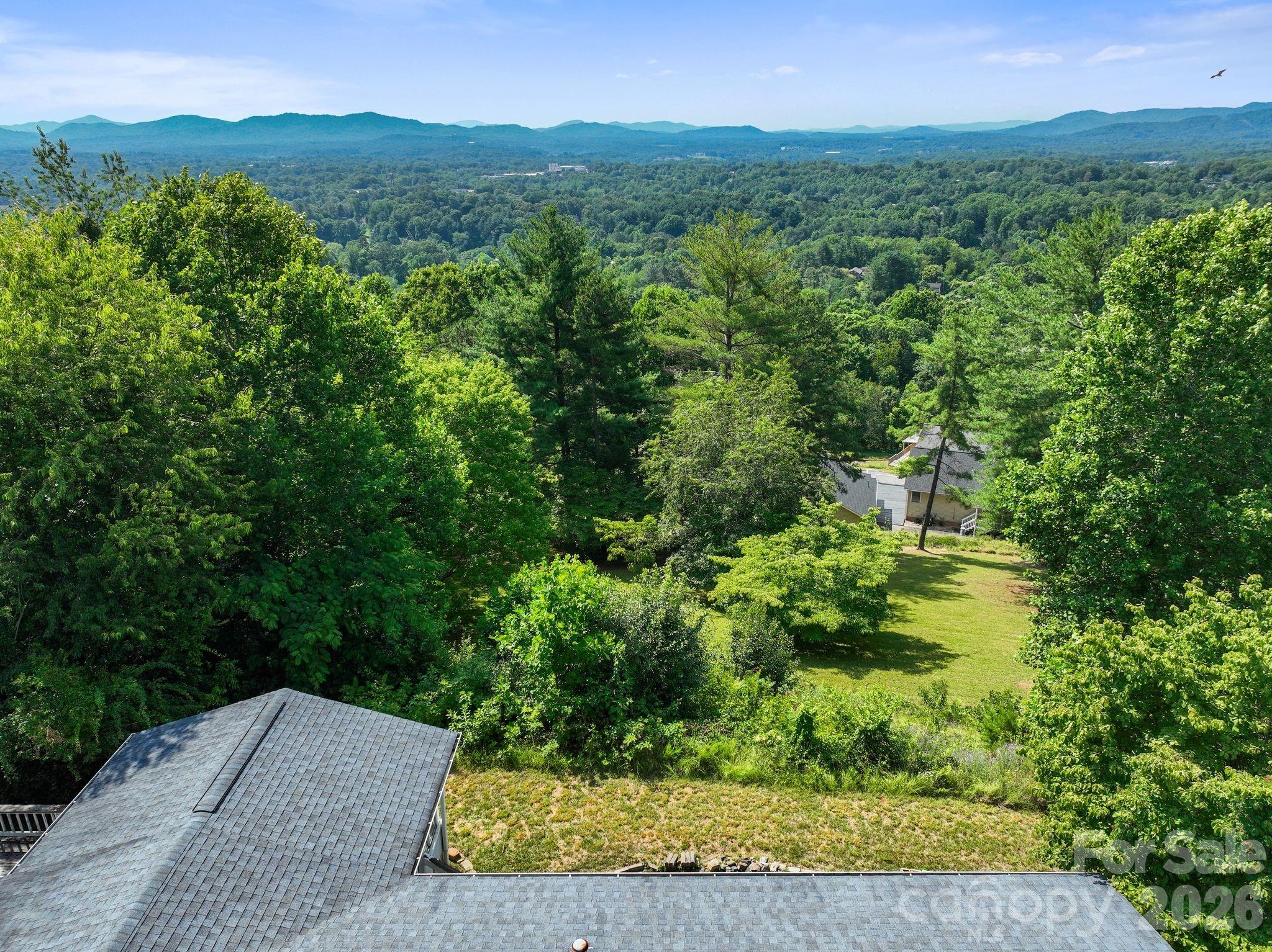 133 Spivey Mountain Road Asheville, NC 28806 - Photo 40 of 40 a view of a green field with lots of bushes