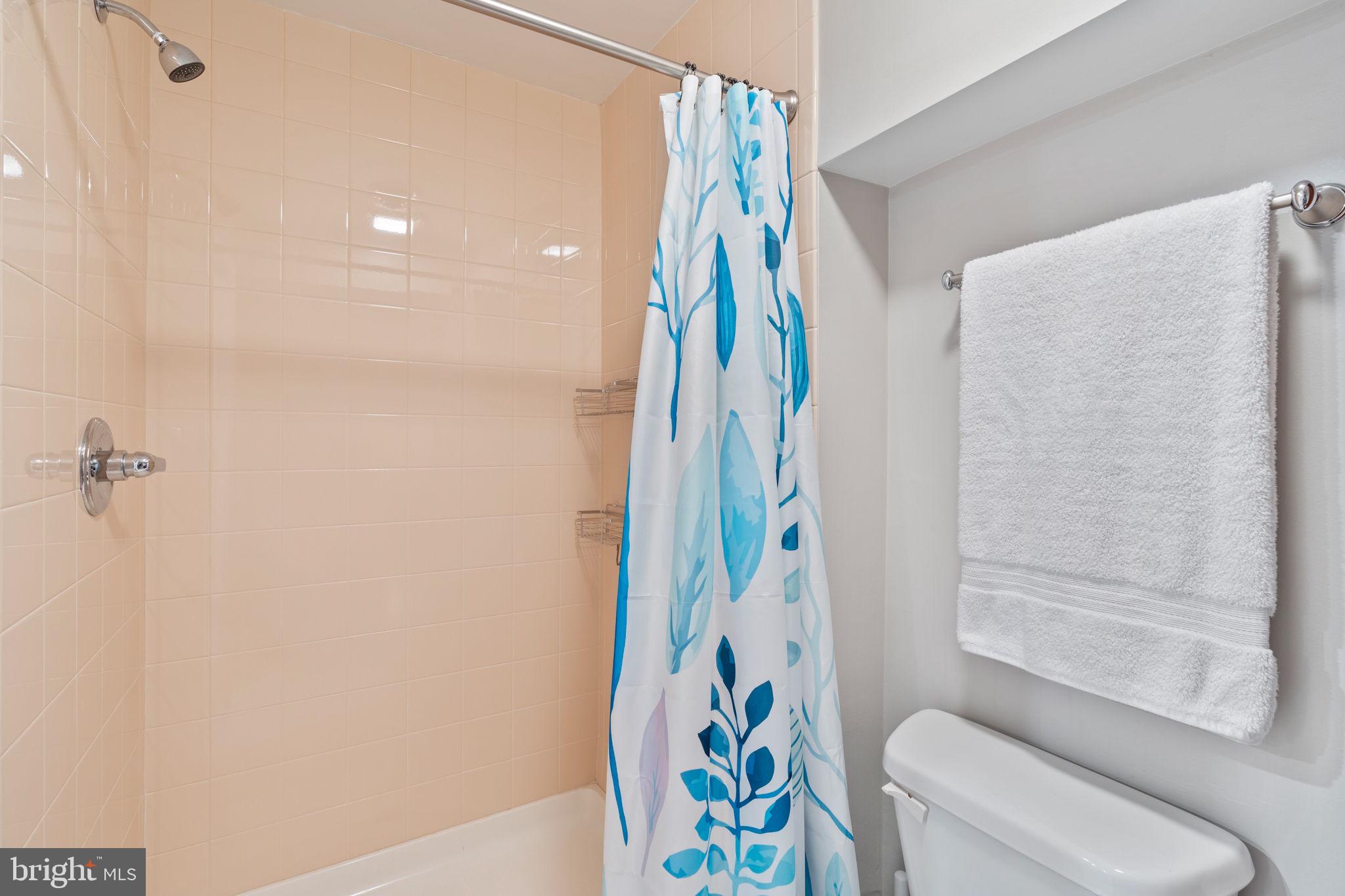 1231 Corbett Road Monkton, MD 21111 - Photo 63 of 107 Lower Level Full Bathroom