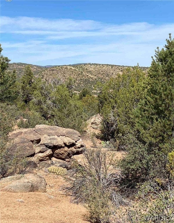 3825 Santa Cruz Road Golden Valley, AZ 86413 - Photo 2 of 13
