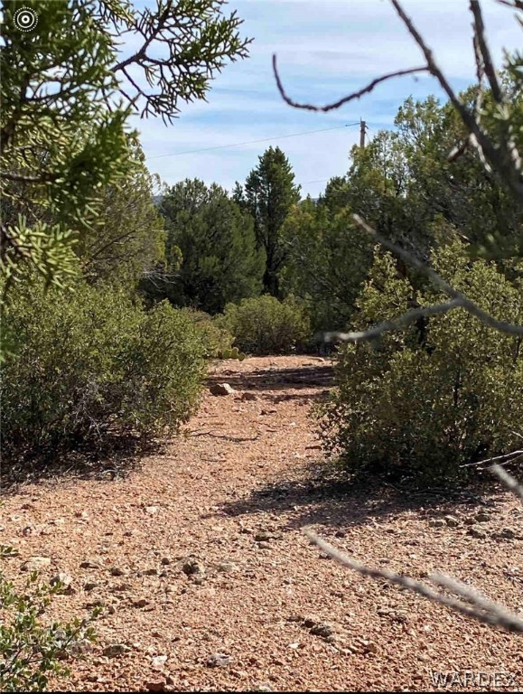 3825 Santa Cruz Road Golden Valley, AZ 86413 - Photo 6 of 13