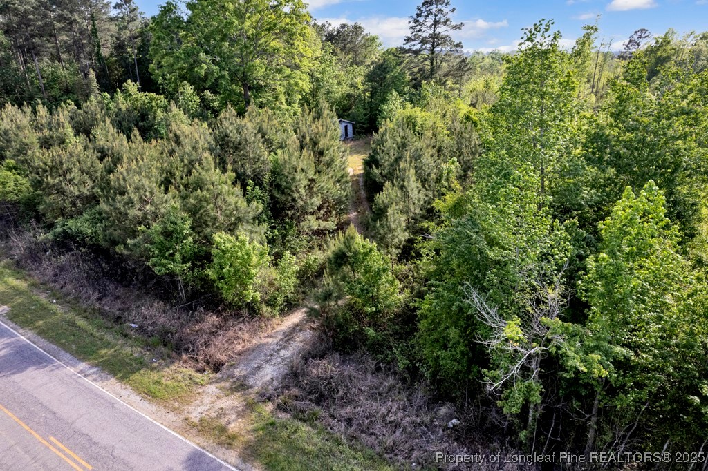 391-494 Carroll Store Road Autryville, NC 28318 - Photo 16 of 19 a view of a large yard with lots of green space