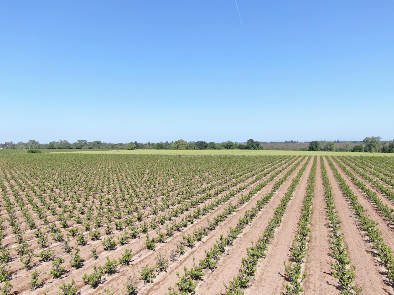 19991 North Tretheway Road Acampo, CA 95220 - Photo 1 of 5 a view of an ocean