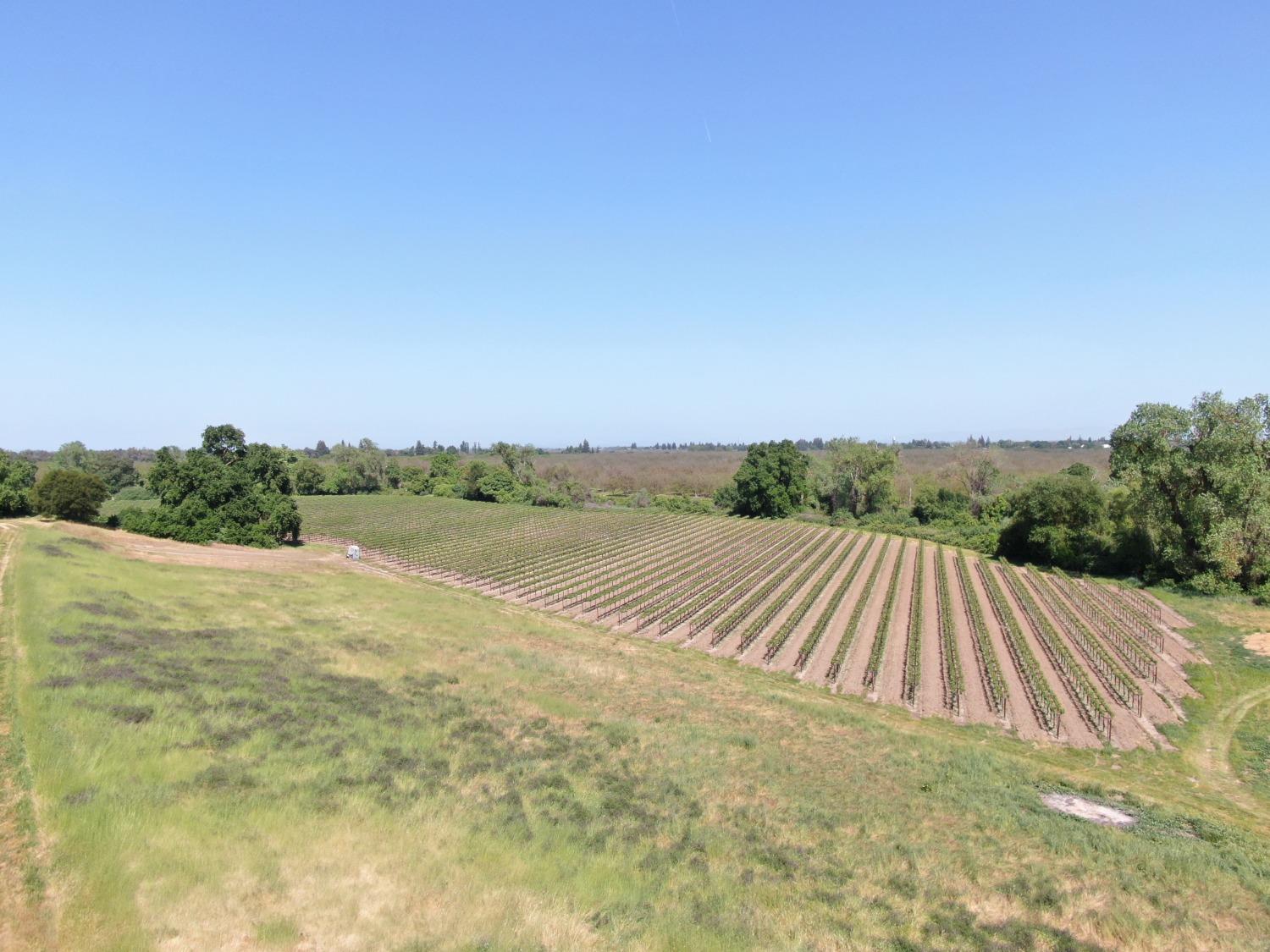 19991 North Tretheway Road Acampo, CA 95220 - Photo 3 of 5 a view of lake and mountain view